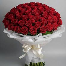 Букет 101 Красная роза Блэк Мэджик в Угольные Копи