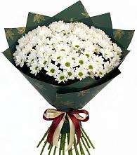 Букет цветов из:  Хризантемы в Угольные Копи