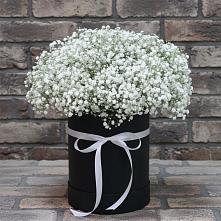 Цветочная композиция из Гипсофила в шляпной коробке в Угольные Копи