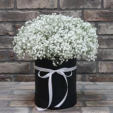 Цветочная композиция из Гипсофила в шляпной коробке в Угольные Копи