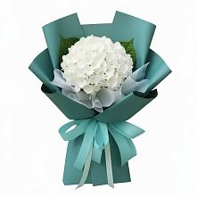 Букет цветов из:  Гортензия в Угольные Копи